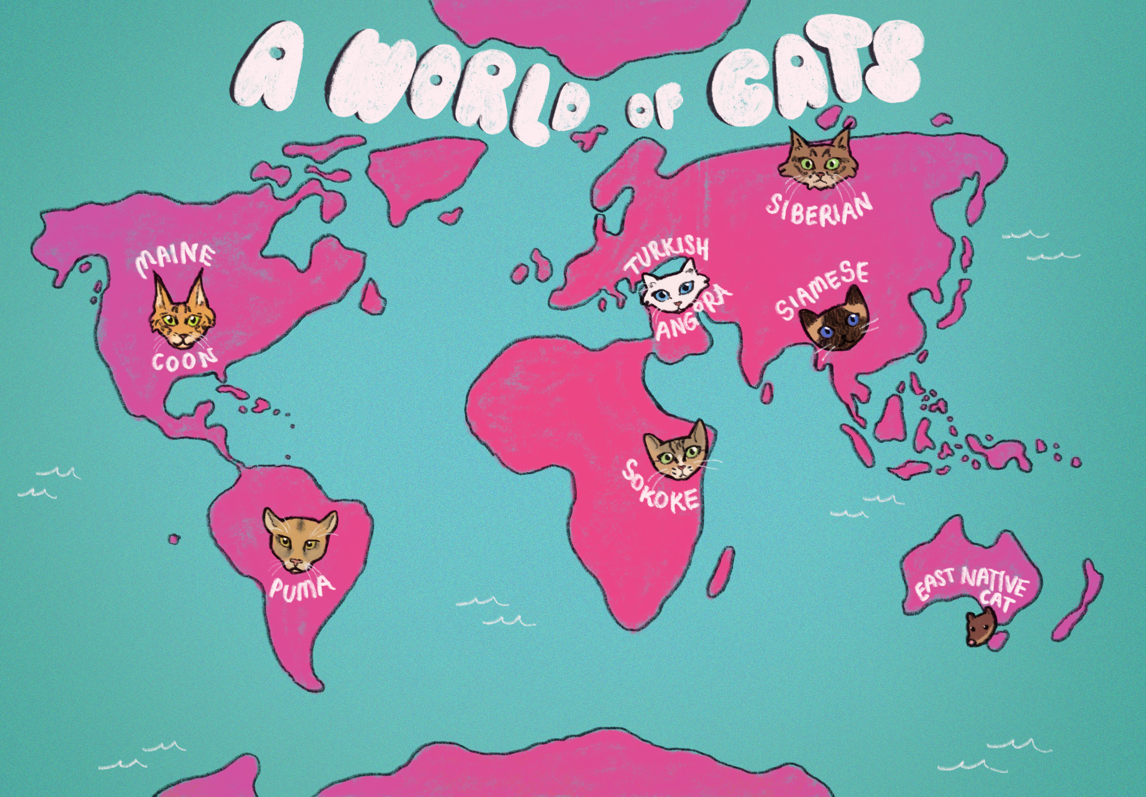 Where are Cats Originally From? – CATPAK