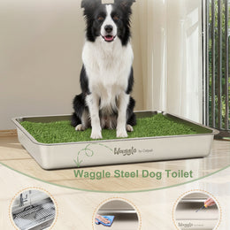 Waggle Steel Dog Toilet | Stainless steel base | Antibacterial and deodorizing